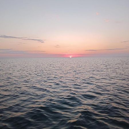 Terra Nova Solis Костинещи Екстериор снимка